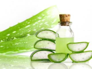 芦荟胶可以淡化疤痕么（芦荟胶真的可以祛除疤痕吗）
