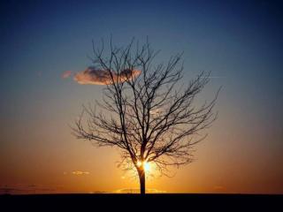 分手了怎么跟对方告别（如何优雅地告别一段感情）