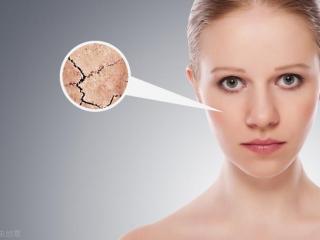 茶油可以直接涂脸吗（茶油涂脸的正确方法要知道）