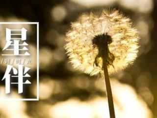 老婆外遇要离婚（妻子出轨后主动坦白要求离婚）