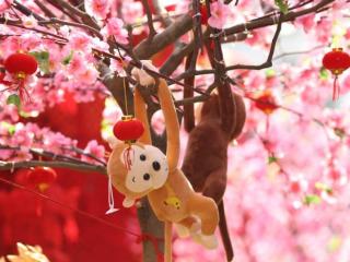 给男朋友的话真实长句，写给男朋友最真实的话