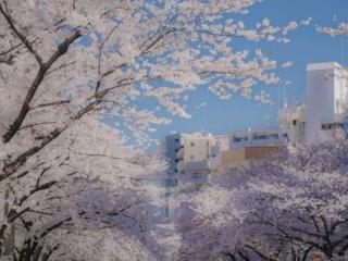 男人骨子里最忘不了的女人（男人最忘不了的3种女人）