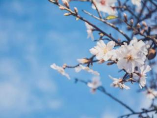 经典古诗词名句（这45首经典古诗词）