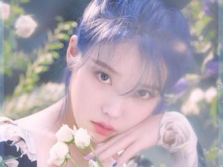 照片很美的短句（适合发旅行照片的精致短句）