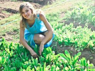 小三被原配发现后智慧做法（聪明的原配只需做好这件事就够了）