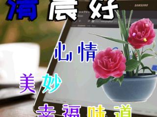 特别暖的早安（清晨句句暖人心的早安问候祝福语）