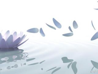 赞颂老师的名言（赞美老师的名言摘抄）