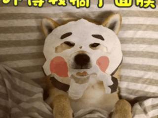 面膜什么时候贴好（敷面膜也有最佳时间）