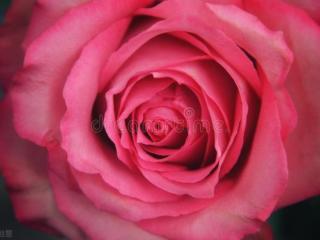 男人多久会忘记小三（男人对小三的爱有多久）