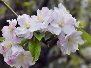 等待的句子说说心情（伤感无奈心情的句子）
