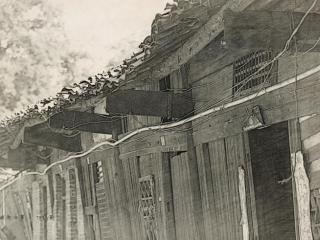 宋妈后来怎样了（驴打滚儿——宋妈寻找自己的女儿）