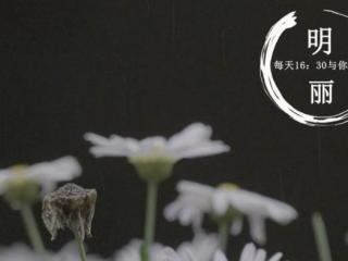 怎样报复有家庭的小三（原配妻子该报复第三者吗）