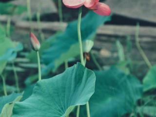 感悟人生的句子简短（短小精辟的人生感悟）