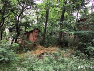 秦岭深处的恐怖（秦岭密林中发现个破宅子）