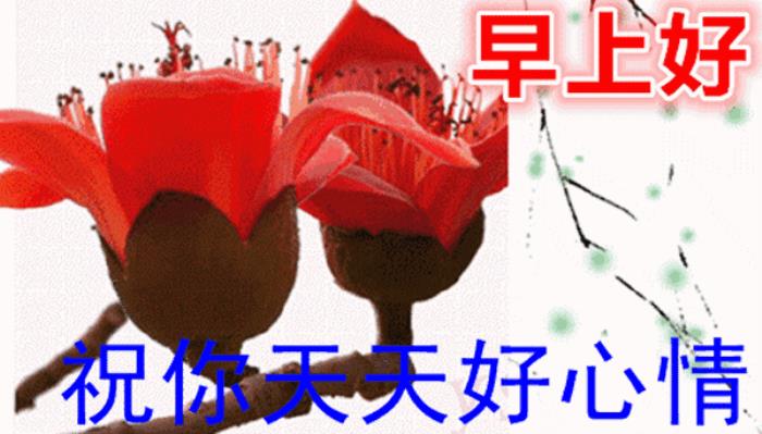 情人早上问候语动态图片亲爱的最美早晨好动态图片大全