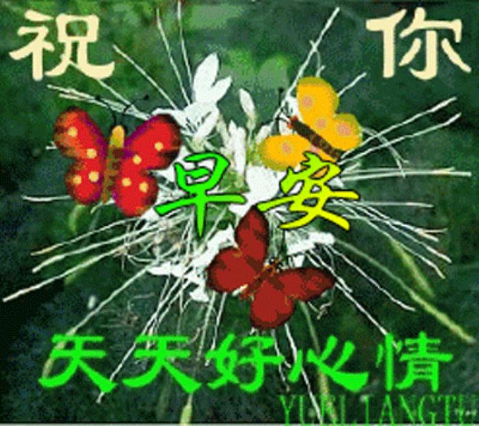 情人早上问候语动态图片亲爱的最美早晨好动态图片大全