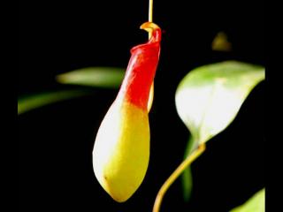 怎么试探熟人能不能睡（要提防这四个行为异常的老熟人）