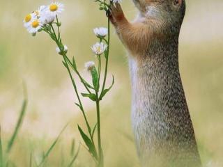 一句早上好暖心的话（经典暖心的早安说说）