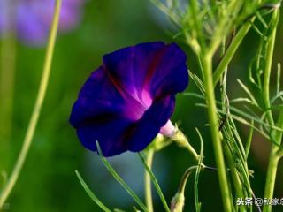 分手说难听的话男人心里（总是说一些很难听的话）