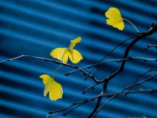 已婚男人说忘不了我（男人忘不了一个女人）