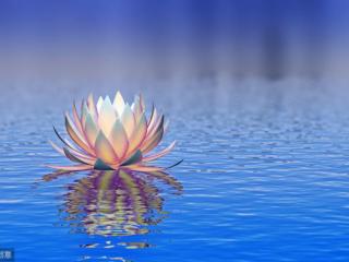 汪涵经典语录（汪涵经典语录20句）