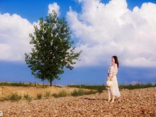 人景合一的美句（人景合一的最高境界）