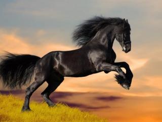 怎样试探一个人的人品（领导会用这4招来试探）