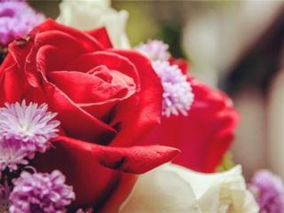 关于爱情的文章（贴近现实的爱情感悟）