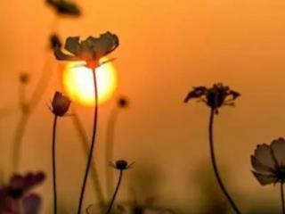 忍受妻子出轨男人的心理（男人选择原谅时的心理活动）