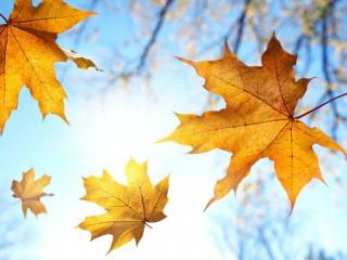 婚外情断联多久男人会崩溃（已婚男断联多久会想情人）