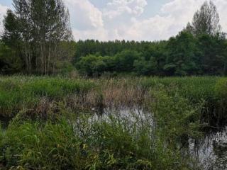 离婚要钱的男人正常吗（男方经常向女方要钱花）