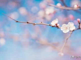 妻子出轨离婚后悔求复合（离婚三年后求前夫复合）