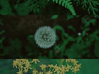 男人对小三愧疚（老公对第三者怀有愧疚）