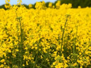 老公在外地怎么判断出没出轨（老公在外地是否出轨的判定方法）