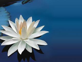 感情破冰方式有几种（三种破冰方法很有效）