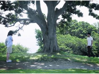 出轨的两个人一起过会幸福吗（双双出轨的人在一起会幸福吗）