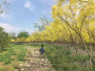 婚后男方应该给女方生活费吗（丈夫应该给妻子生活费吗）