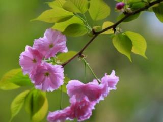 致青春句子简短的（青春励志的经典短句）