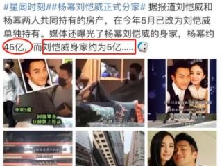 杨幂身价多少（杨幂的总身价45亿）