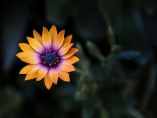 聪明女人与老公沟通的技巧（聪明妻子的沟通技巧）