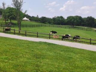 离婚怎么离最快（协议离婚一定要冷静30天）