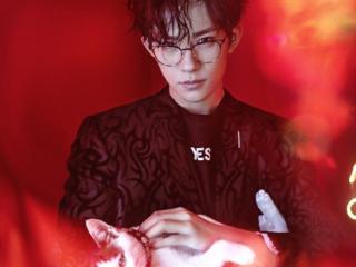 易烊千玺公司（易烊千玺低调成立个人公司）