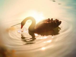 拿结婚证发朋友圈的说说（抖音最火晒结婚证的说说）