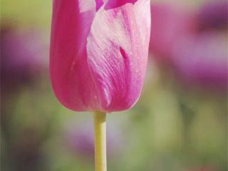 人生哲理短句（人生感悟的哲理短句）