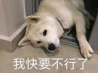 怎么试男人行不行（一招测试自己老公行不行）