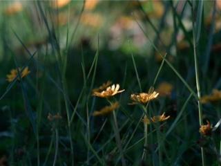 很走心的干净短句（精湛走心的朋友圈说说）