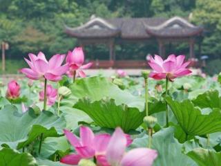 和35岁的女人聊天话题（经常跟中年女人聊这3个话题）