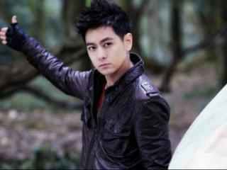 林志颖为什么娶陈若仪（林志颖为何拒绝泰国公主）