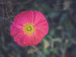 离婚女性好约吗（给中年离婚女人的一些建议）