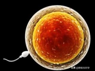 卵泡长得不均匀怎么办（卵泡发育不全是个什么鬼）